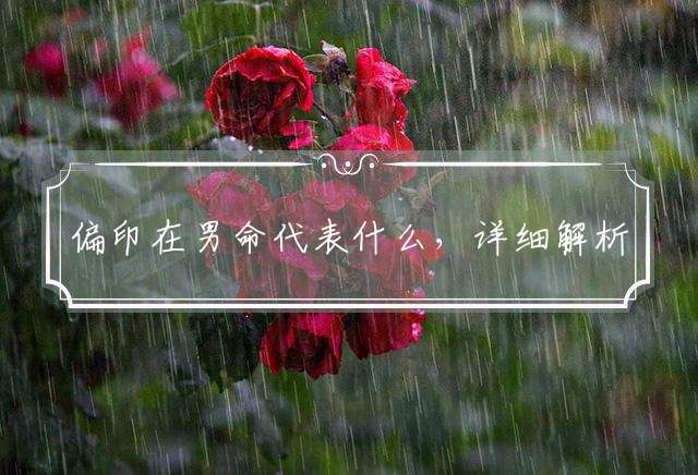 偏印在男命代表什么，详细解析落实