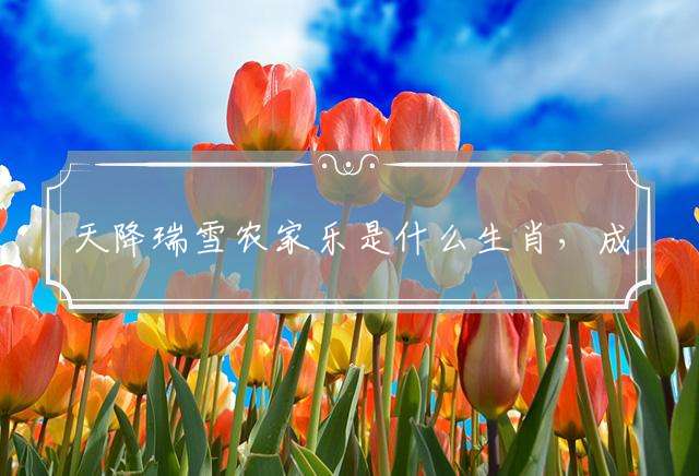 天降瑞雪农家乐是什么生肖，成语详细解释释义落实