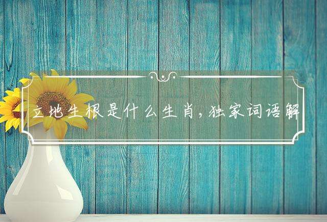 立地生根是什么生肖,独家词语解析释义落实