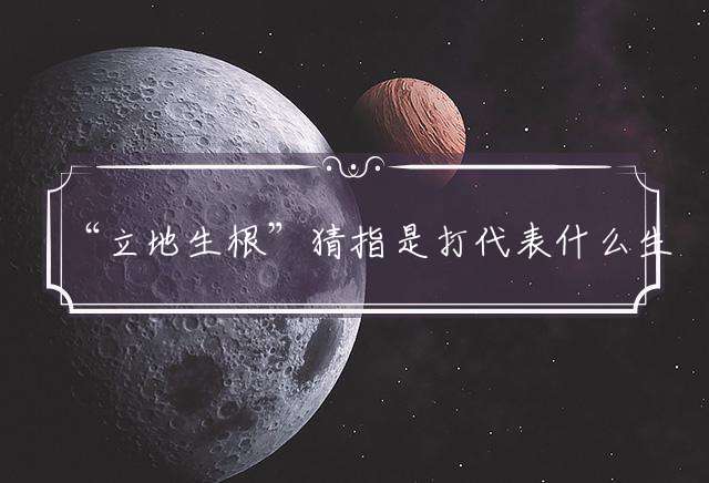 “立地生根”猜指是打代表什么生肖,最佳准确生肖完美解析