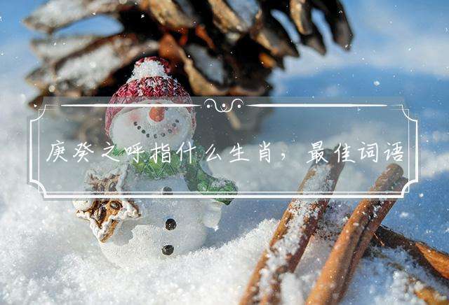 庚癸之呼指什么生肖，最佳词语解释落实